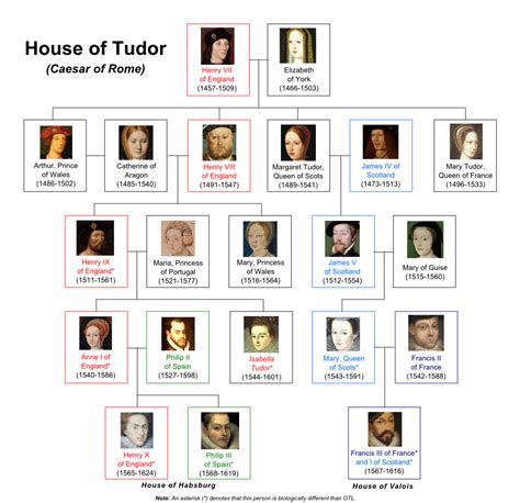 sostituti tudor|the house of tudor england.